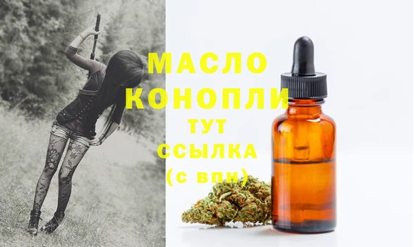 дживик Богородск