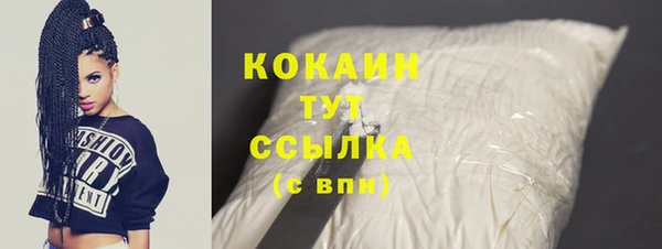 дживик Богородск