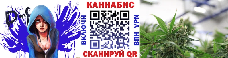 Марихуана SATIVA & INDICA  Вяземский 